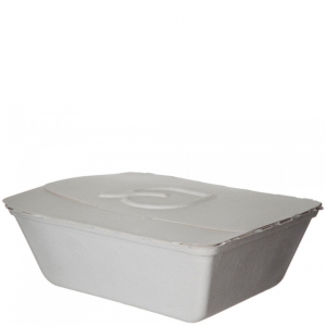 Folia™ (VI) Renewable & Compostable Take-Out Container, 9 x 7.5 x 3.5"